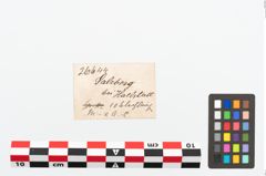 Etikett zu Bronzeblechband (NHMW-PRAE-026644)